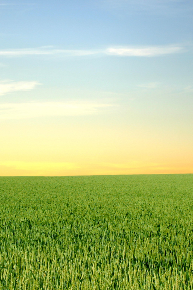 Зеленый горизонт