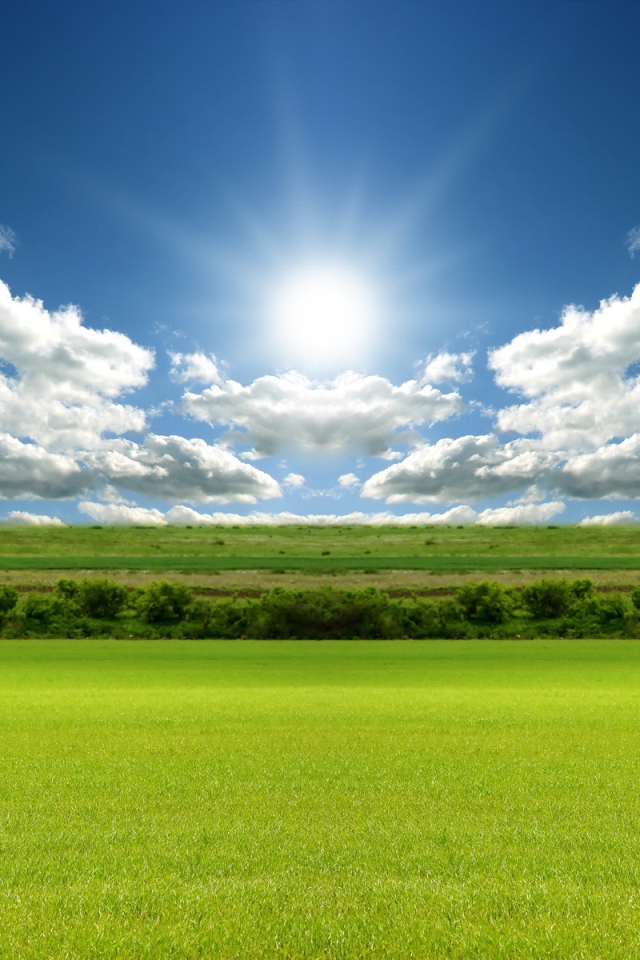 Зеленое поле под лазурным небом