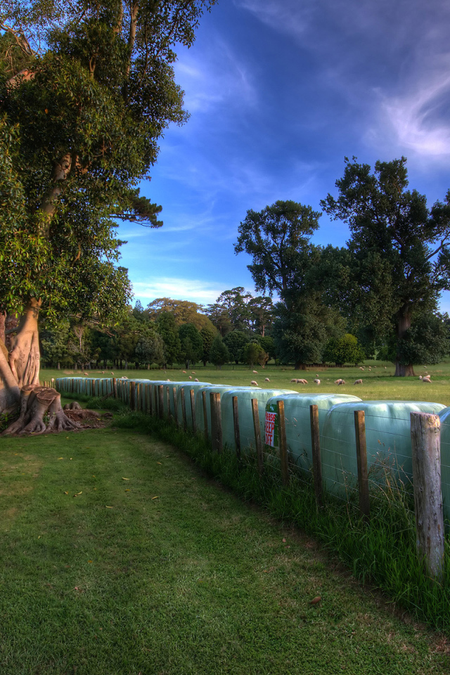 Зеленый парк