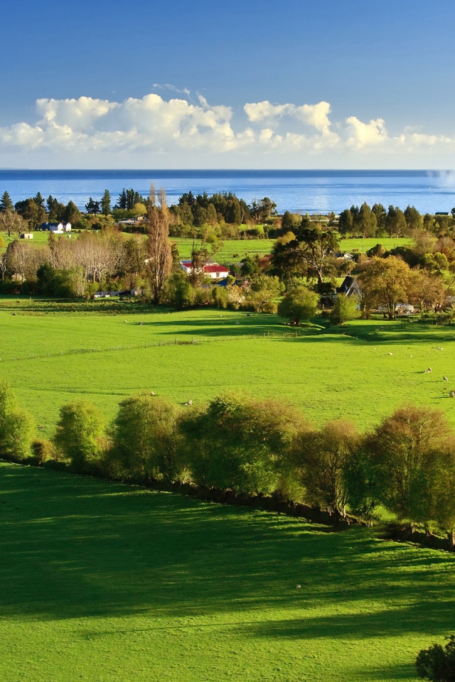 Утро в деревне