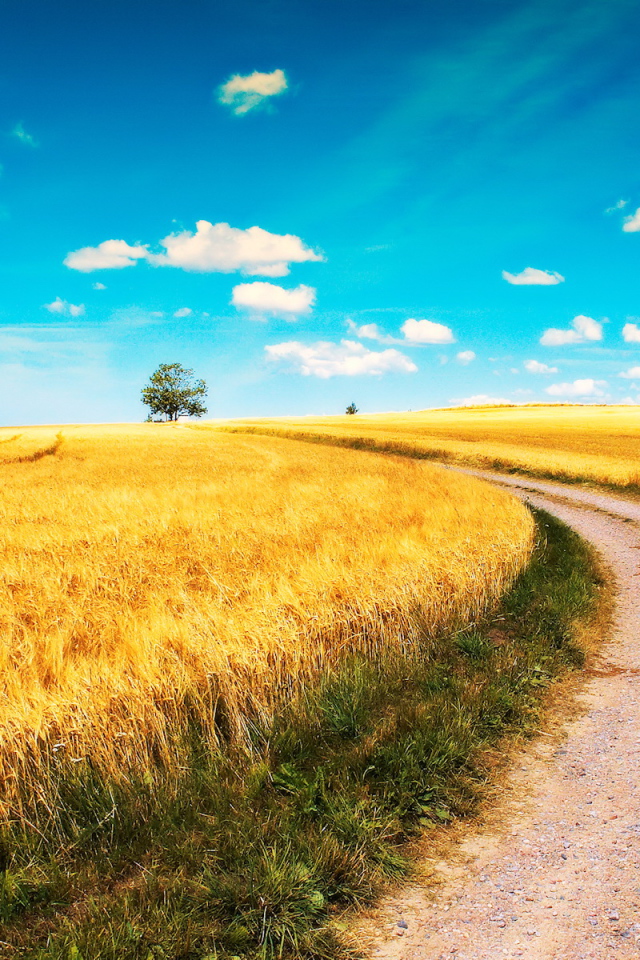 Дорога среди полей