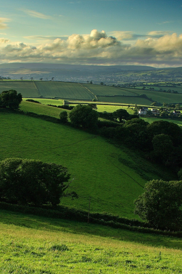 Деревенские поля
