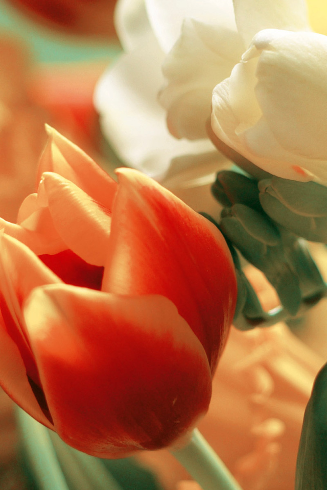 Восхитительные цветы