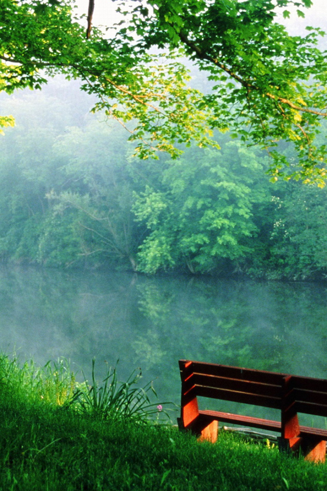 Тихое место у реки