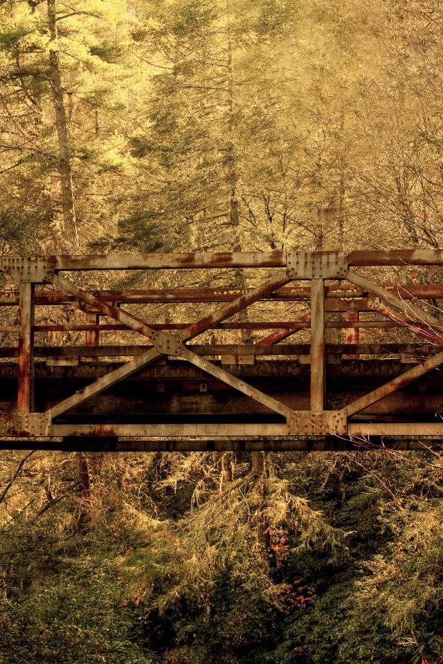 Железнодорожный мост в лесу