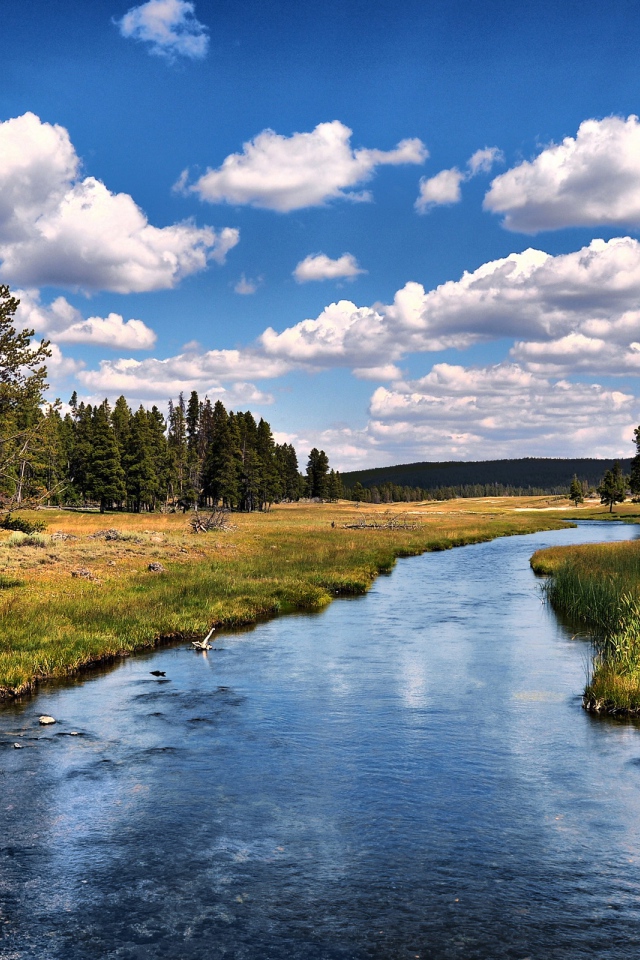 Река возле леса