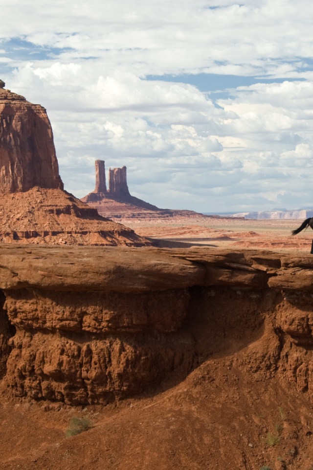 Ковбой в Аризонской пустыне