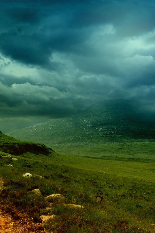 Зеленые холмы