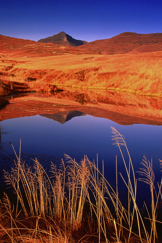 Марс на Земле