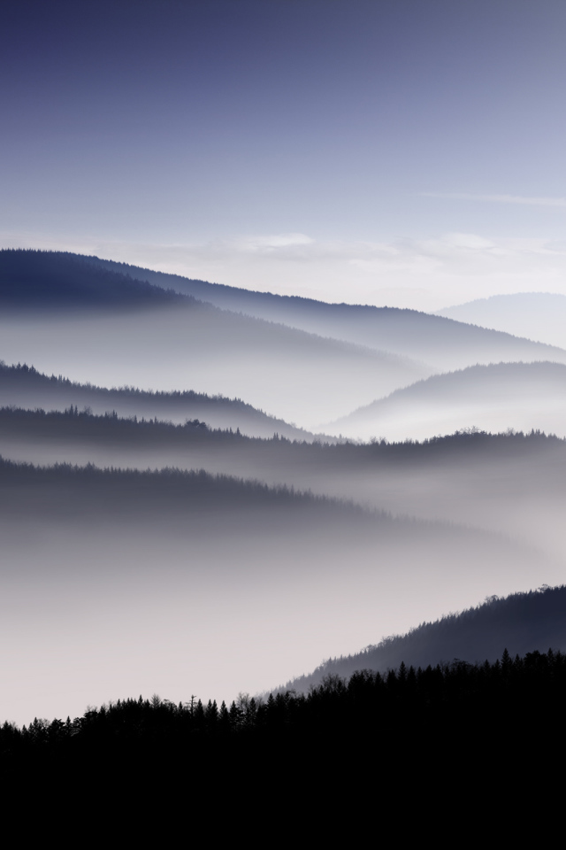 Туманные холмы