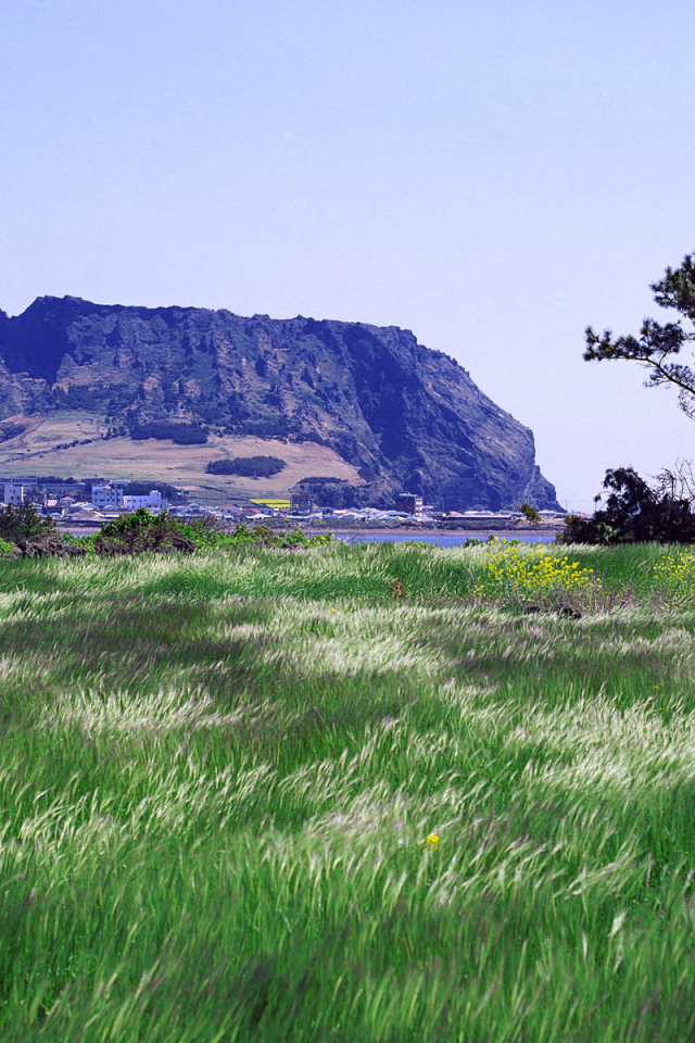 Гора у города