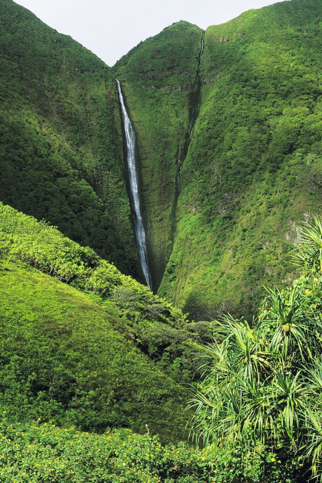 Рай на Земле