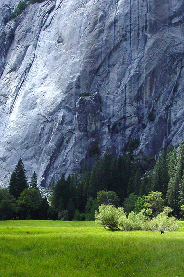 Подножие великих гор