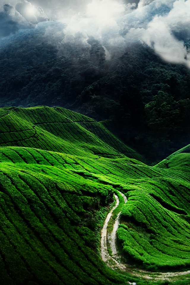 Красивые зеленые холмы