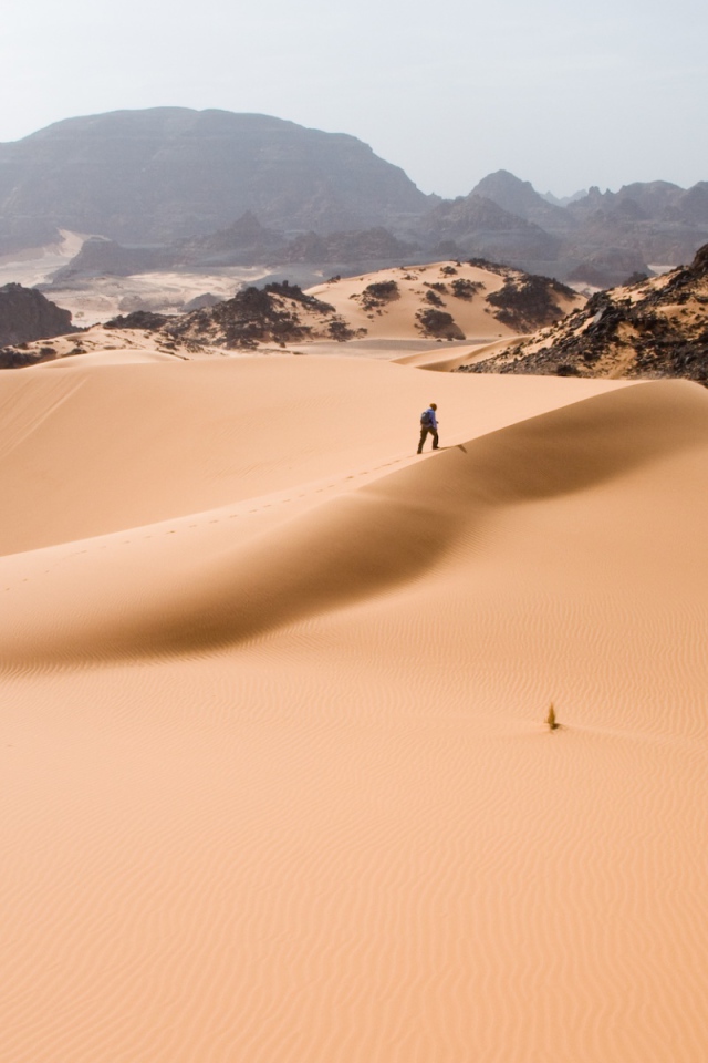 Путешествие по пустыне
