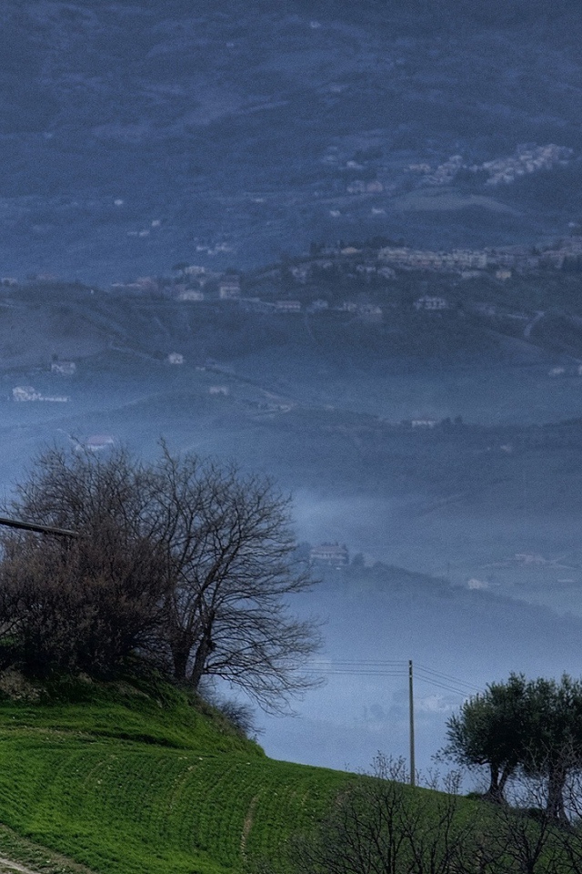 Туманные холмы