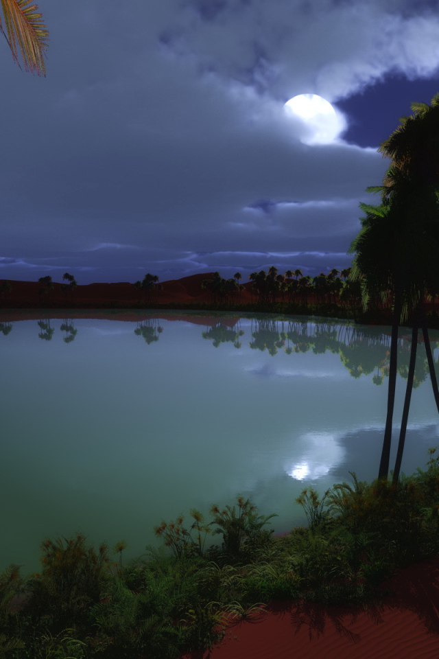 Пустынный оазис