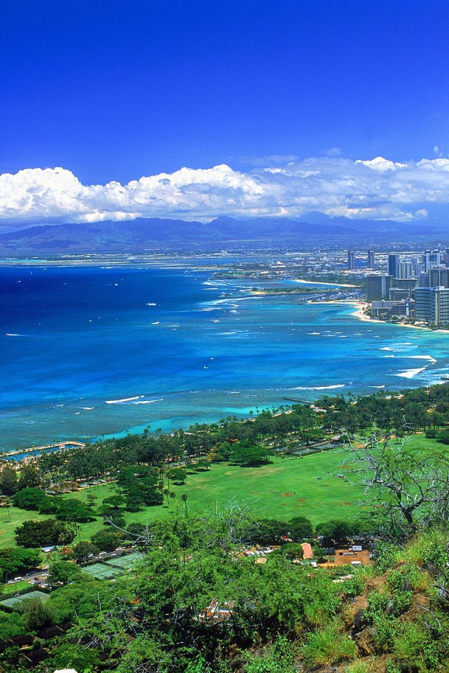 Превосходный вид