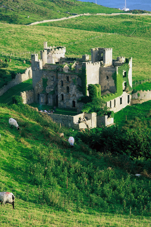 Зеленые холмы