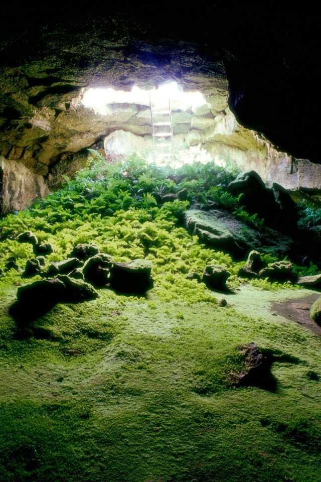 Пещера Laba Tube