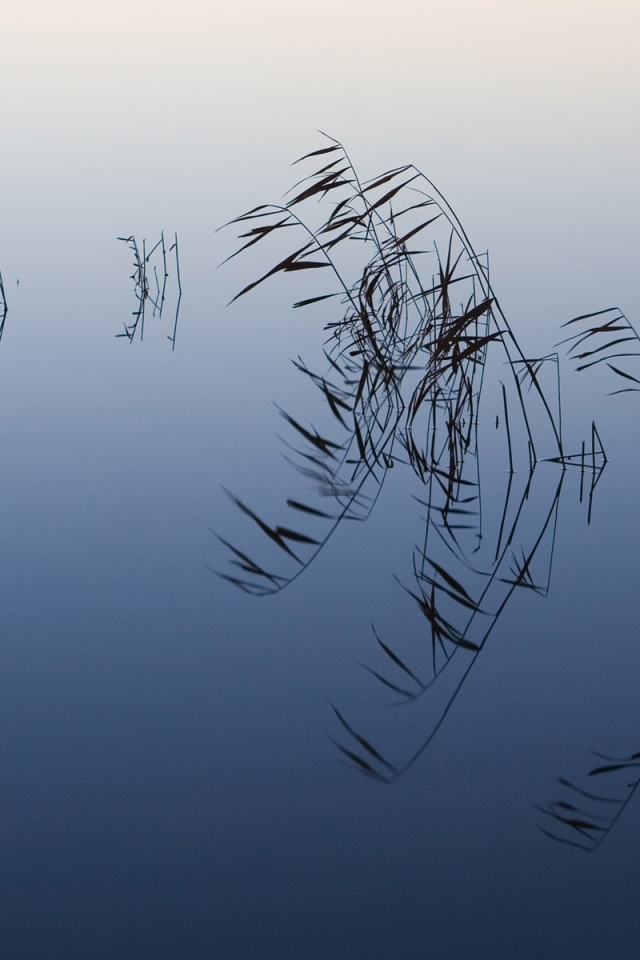 Слияние воды и неба