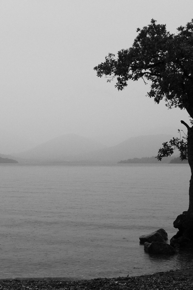 Туманное озеро