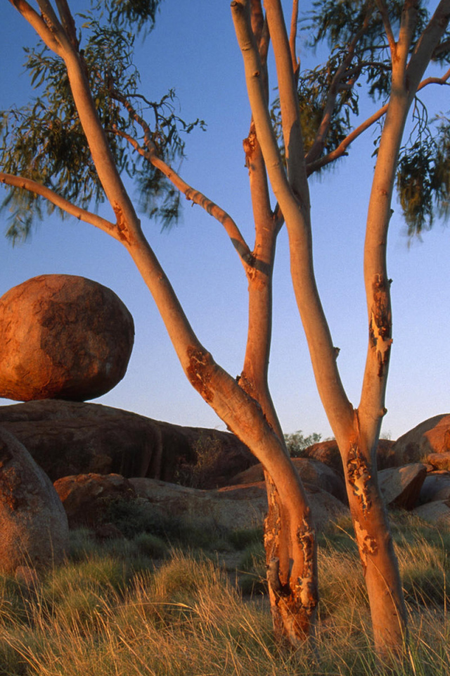 Круглые камни