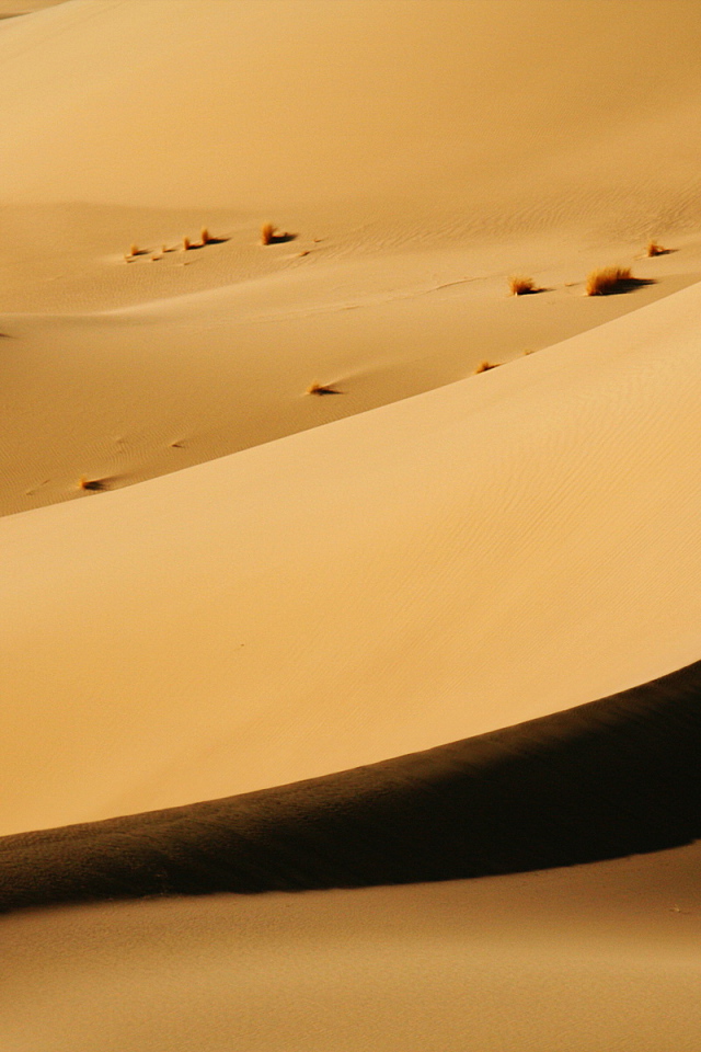 Песочные дюны