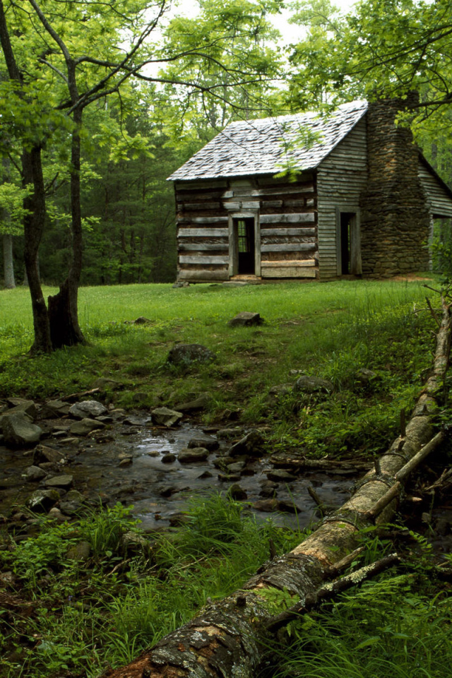 Дом на лесной поляне