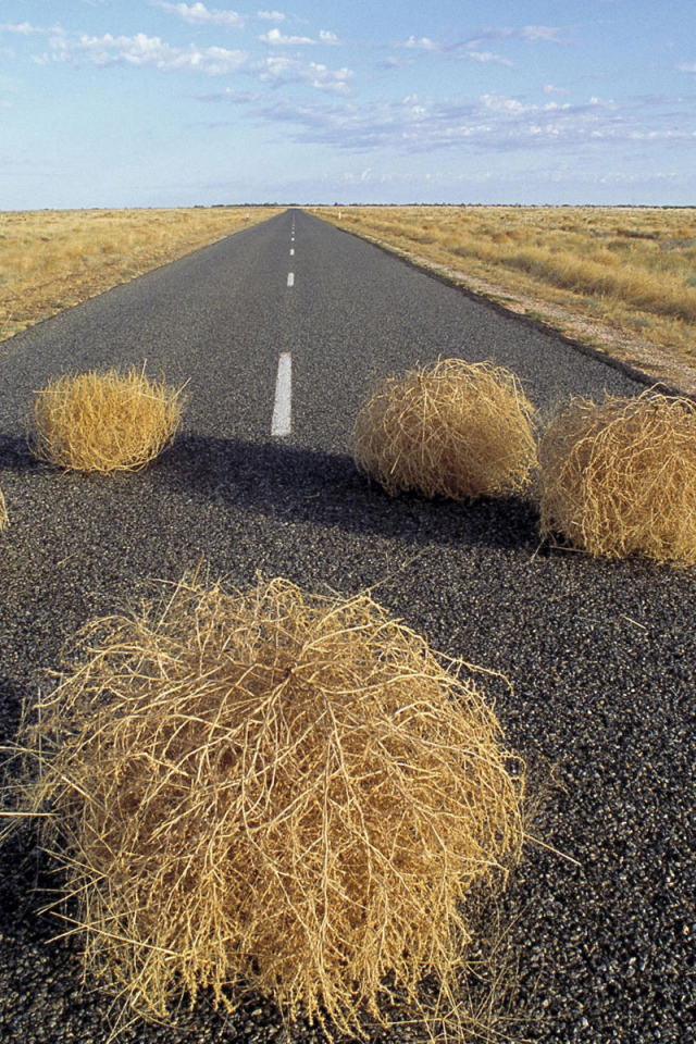 Дорога через пустыню