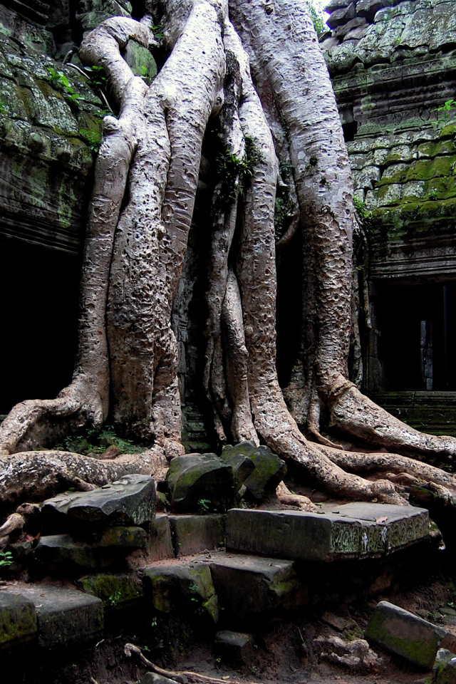 Храм в джунглях