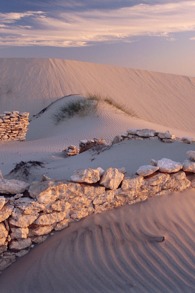 Белые пески пустыни