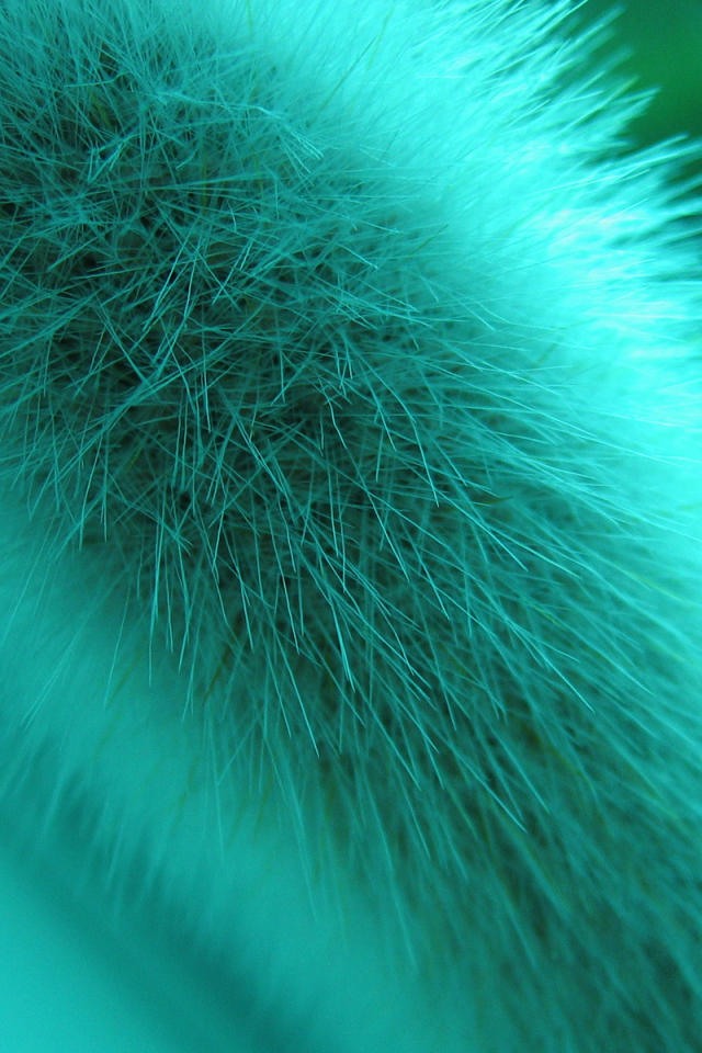 Макро съемка