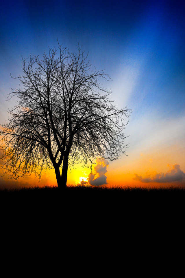 На закате дня