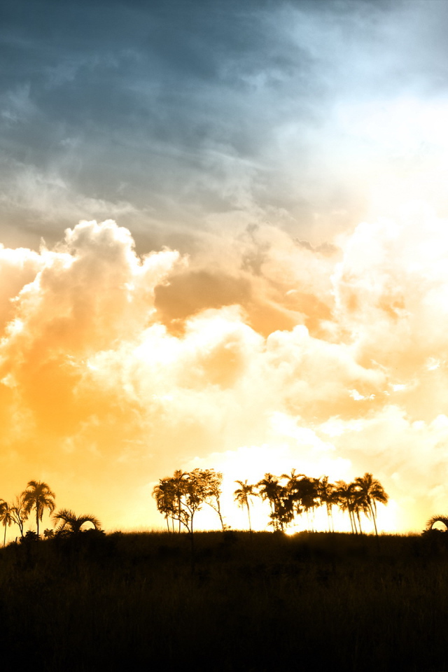 Красивый закат