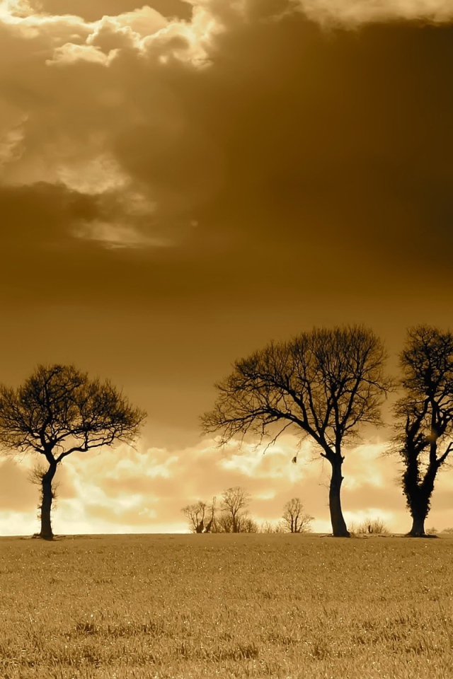 Вечерние облака