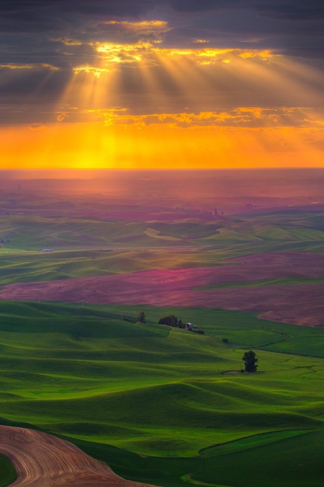 Поля на закате