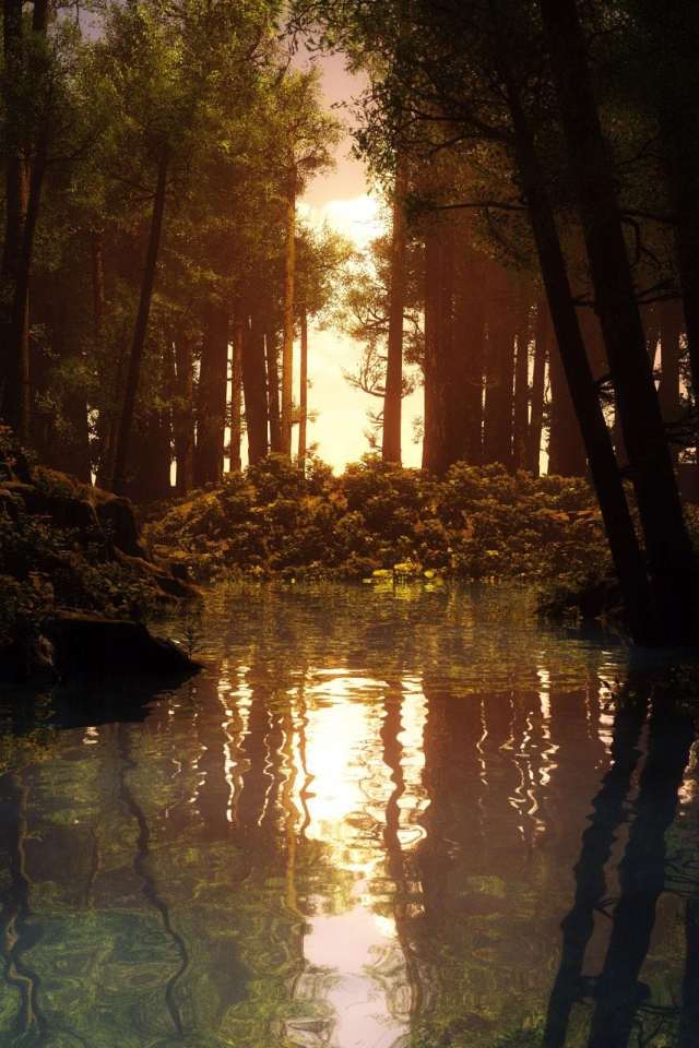 Лесная река на закате