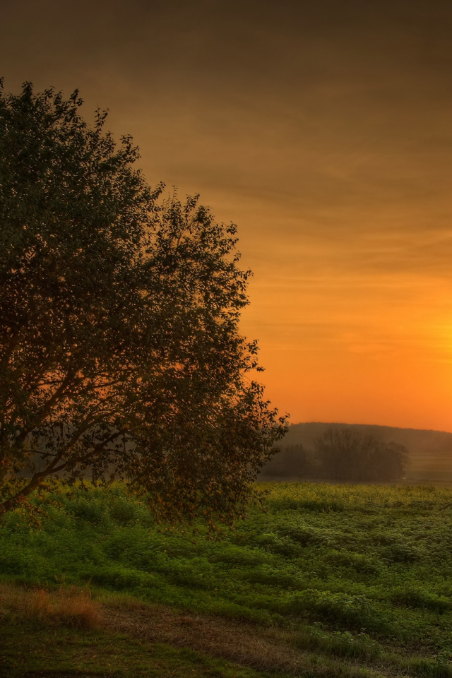 Загадочный закат