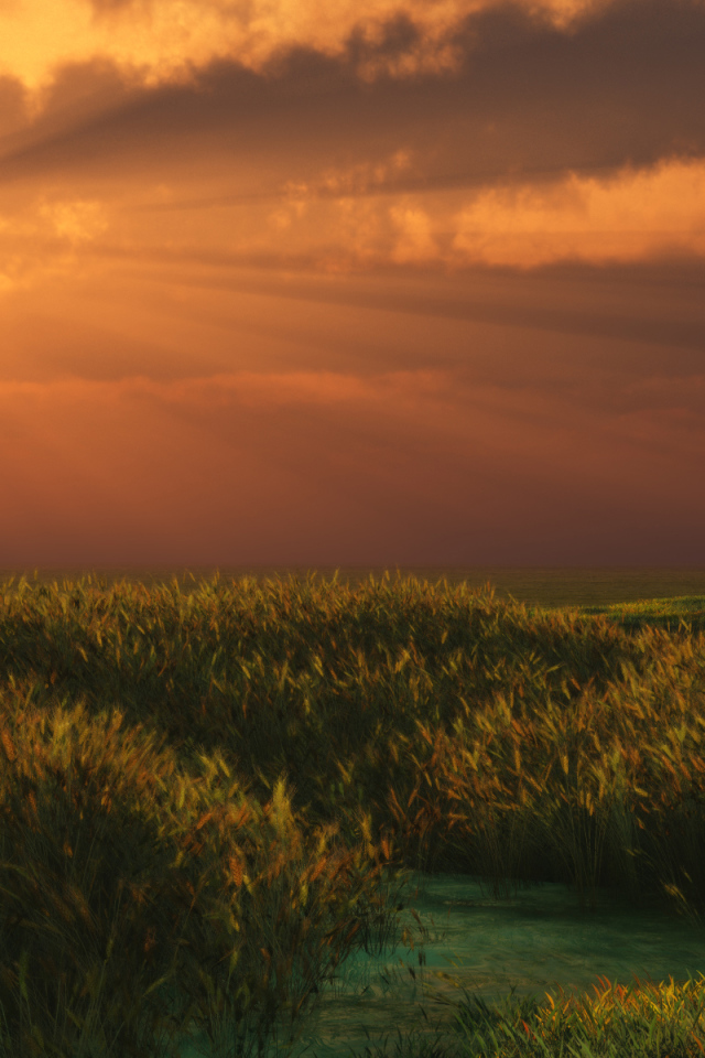 Летний вечер