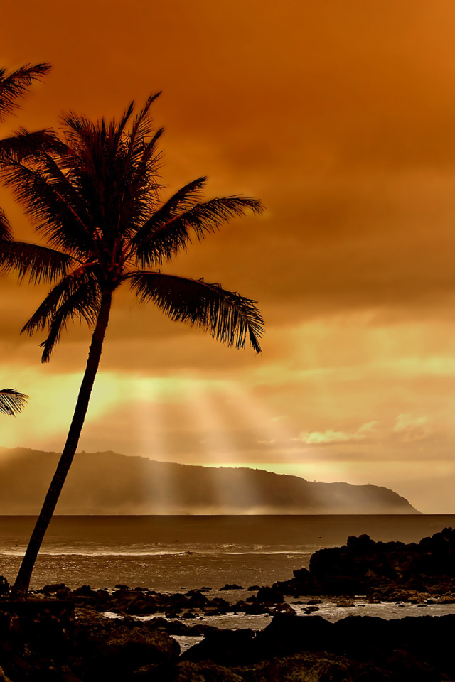 Закат в тропиках