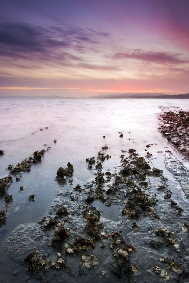 Залив на закате