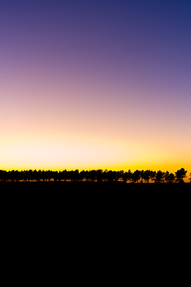 Последний луч света