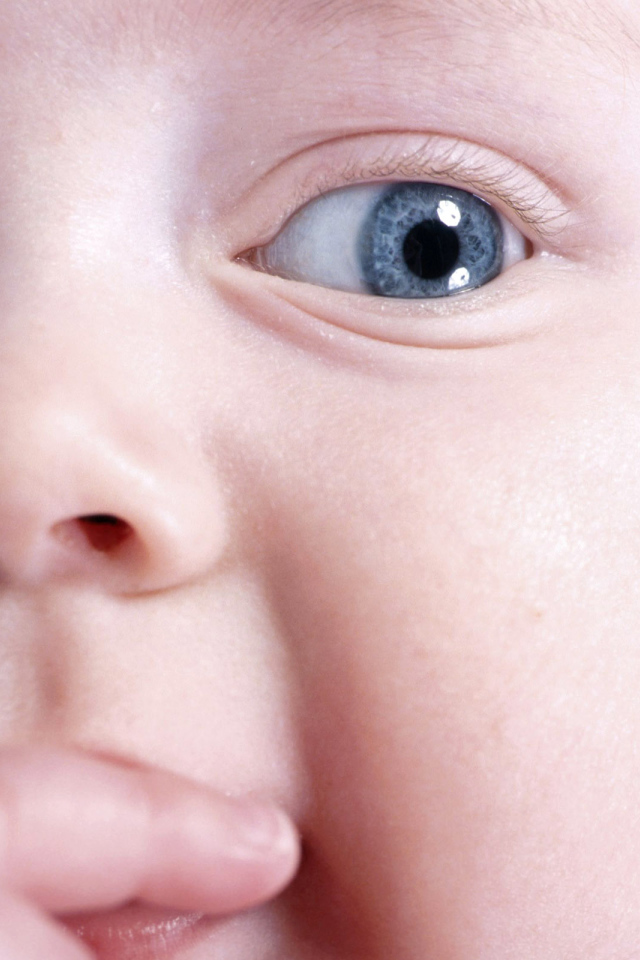 Любознательный малыш