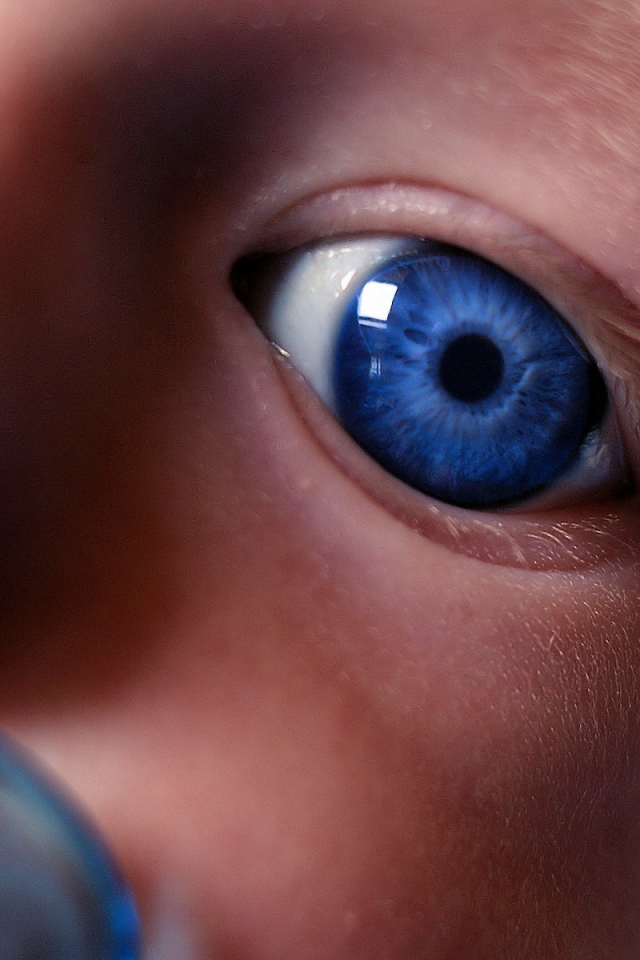 Взгляд на незнакомый мир