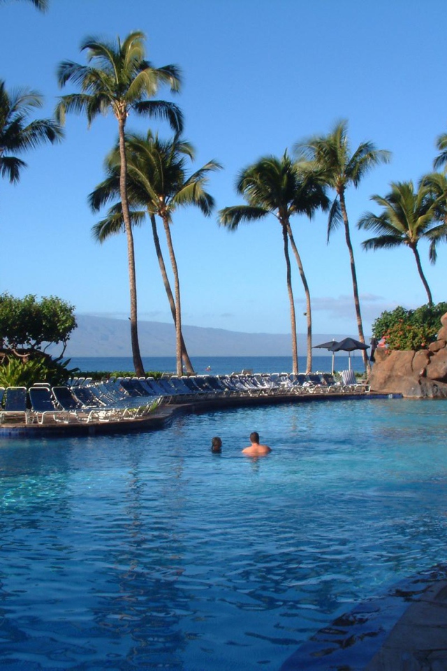 Бассейн у отеля