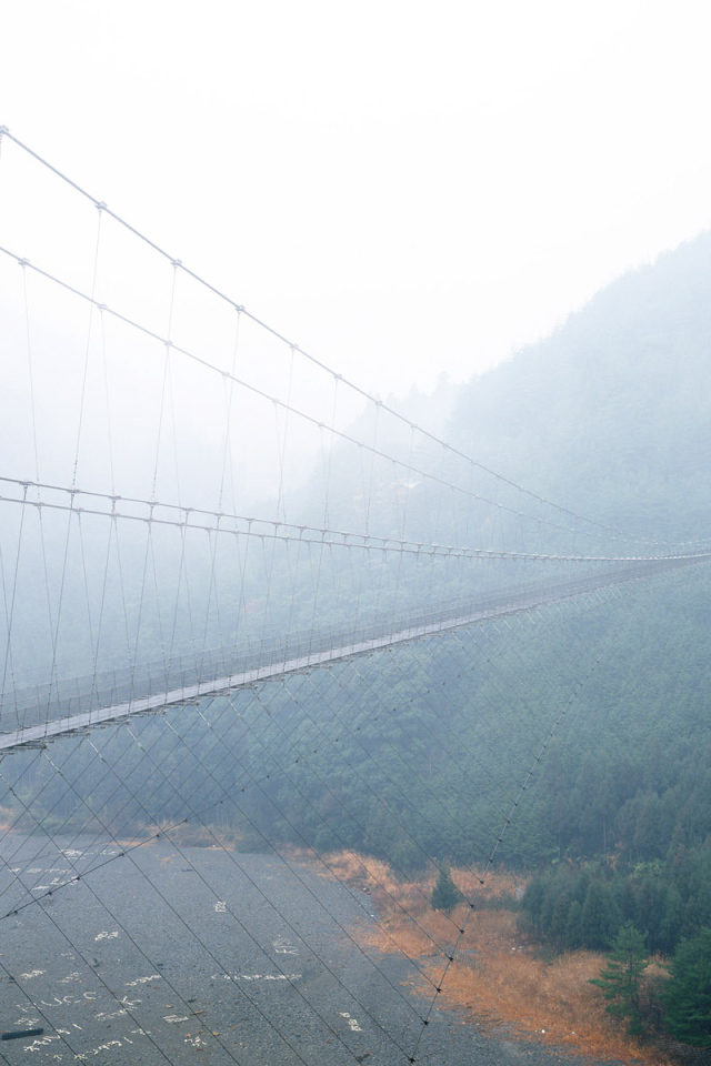 Прогулка по подвесному мосту