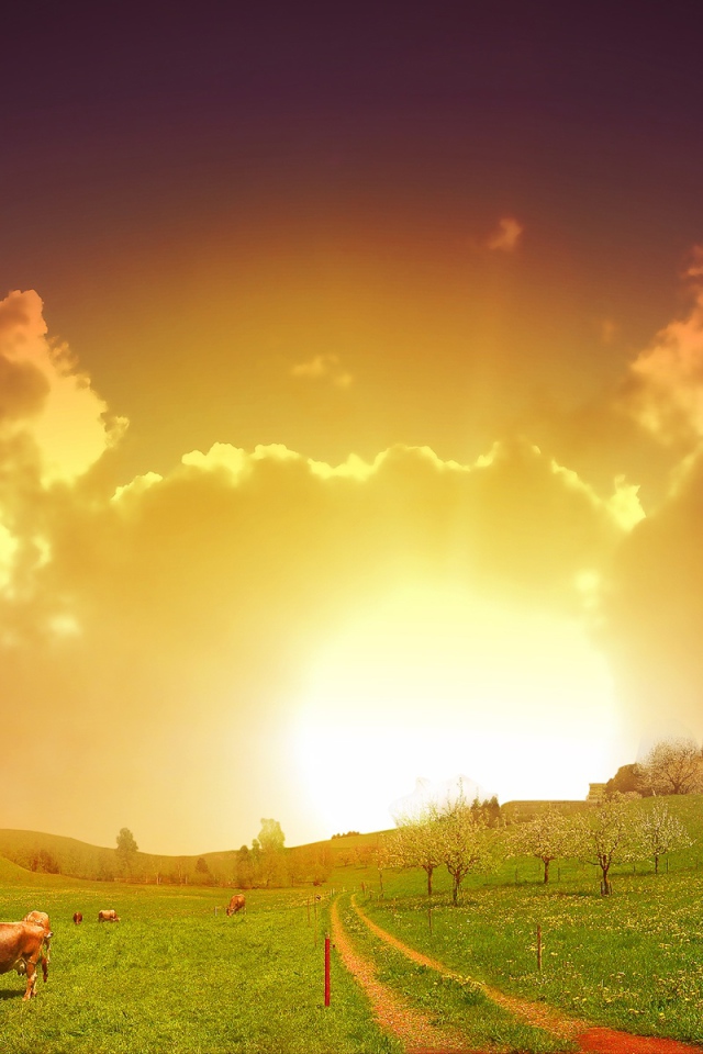 На закате летнего дня