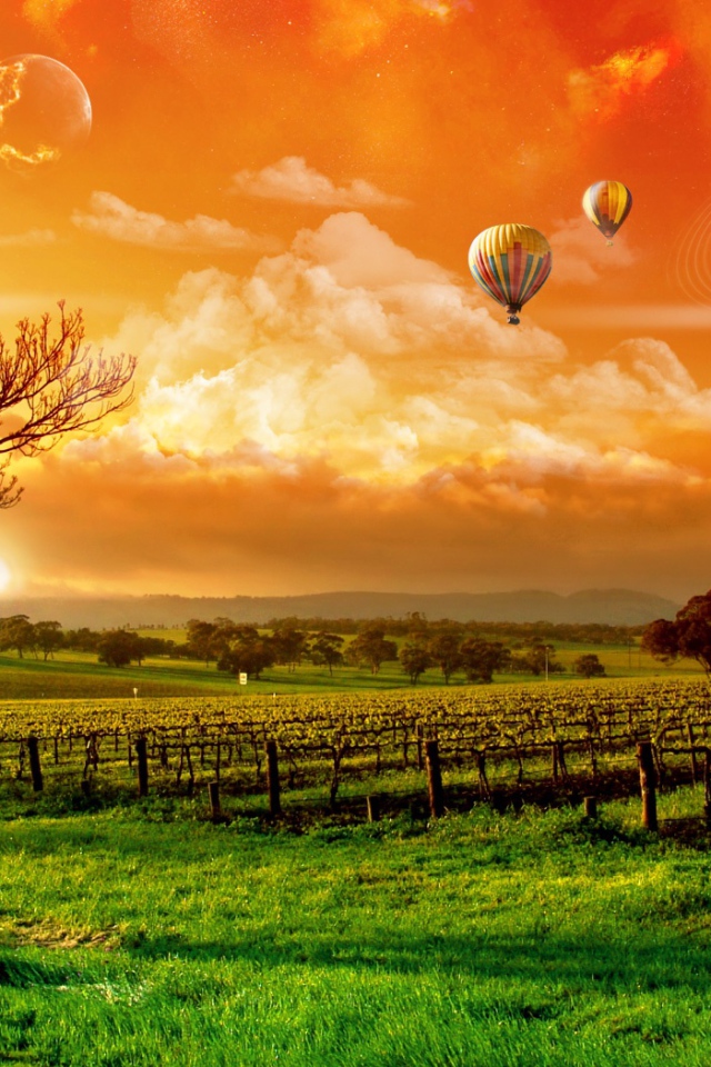 Воздушные шары