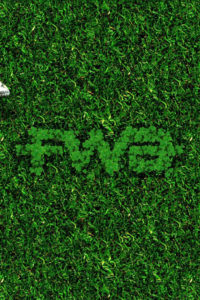 Бабочка на зеленой траве